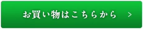 お買い物はこちらから