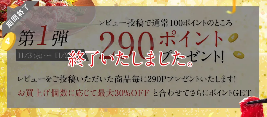 第1弾 レビュー投稿で290ポイントプレゼント！