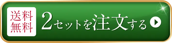 送料無料 2セット注文する