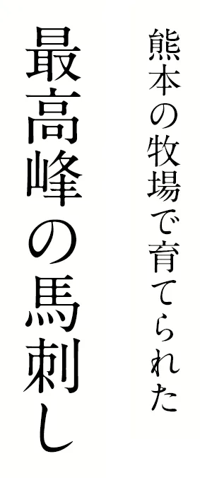 熊本の牧場で育てられた最高の馬刺し